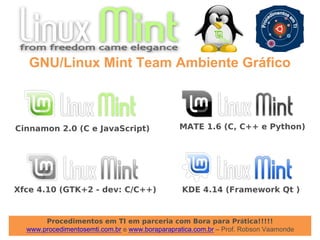 Procedimentos em TI em parceria com Bora para Prática!!!!!
www.procedimentosemti.com.br e www.boraparapratica.com.br – Prof. Robson Vaamonde
GNU/Linux Mint Team Ambiente Gráfico
Cinnamon 2.0 (C e JavaScript) MATE 1.6 (C, C++ e Python)
Xfce 4.10 (GTK+2 - dev: C/C++) KDE 4.14 (Framework Qt )
 