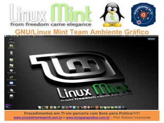 Procedimentos em TI em parceria com Bora para Prática!!!!!
www.procedimentosemti.com.br e www.boraparapratica.com.br – Prof. Robson Vaamonde
GNU/Linux Mint Team Ambiente Gráfico
 