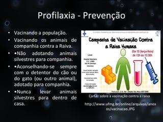 Profilaxia - Prevenção Vacinando a população. Vacinando os animais de companhia contra a Raiva. • Não adotando animais silvestres para companhia.  • Aconselhando-se sempre com o detentor do cão ou do gato (ou outro animal), adotado para companhia.  • Nunca levar animais silvestres para dentro de casa.  Cartaz sobre a vacinação contra a raiva http://www.ufmg.br/online/arquivos/anexos/vacinacao.JPG 