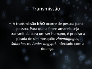 Transmissão A transmissão  NÃO  ocorre de pessoa para pessoa. Para que a febre amarela seja transmitida para um ser humano, é preciso a picada de um mosquito  Haemagogus ,  Sabethes  ou  Aedes aegypti , infectado com a doença. 