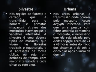 Silvestre Nas regiões de floresta e cerrado, que é transmitida para o homem e primatas (macacos), através dos mosquitos Haemagogus e Sabethes infectados. A silvestre é uma doença típica de macacos, que vivem nas florestas tropicais e equatoriais, e se apresenta de forma cíclica, ou seja, em períodos de tempo, com maior intensidade a cada cinco ou sete anos. Urbana Nas áreas urbanas, a transmissão pode ocorrer pelo mosquito  Aedes aegypti  infectado. Para que uma pessoa com febre amarela contamine o mosquito, é necessário que ela seja picada pelo  Aedes aegypti  cerca de 24 a 48 horas antes do início dos sintomas e de três a cinco dias após o início da doença.  