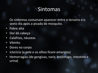 Sintomas Os sintomas costumam aparecer entre o terceiro e o sexto dia após a picada do mosquito. Febre alta Dor de cabeça Calafrios, náuseas Vômito Dores no corpo Icterícia (a pele e os olhos ficam amarelos) Hemorragias (de gengivas, nariz, estômago, intestino e urina) 