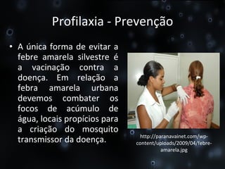 Profilaxia - Prevenção A única forma de evitar a febre amarela silvestre é a vacinação contra a doença. Em relação a febra amarela urbana devemos combater os focos de acúmulo de água, locais propícios para a criação do mosquito transmissor da doença. http://paranavainet.com/wp-content/uploads/2009/04/febre-amarela.jpg 
