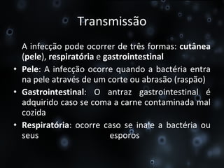 Transmissão A infecção pode ocorrer de três formas:  cutânea  ( pele ),  respiratória  e  gastrointestinal Pele : A infecção ocorre quando a bactéria entra na pele através de um corte ou abrasão (raspão)  Gastrointestinal : O antraz gastrointestinal é adquirido caso se coma a carne contaminada mal cozida  Respiratória : ocorre caso se inale a bactéria ou seus esporos  