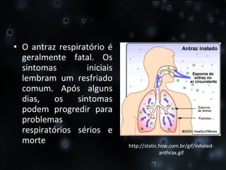 O antraz respiratório é geralmente fatal. Os sintomas iniciais lembram um resfriado comum. Após alguns dias, os sintomas podem progredir para problemas respiratórios sérios e morte http://static.hsw.com.br/gif/inhaled-anthrax.gif 