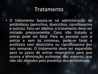Tratamento O tratamento baseia-se na administração de antibióticos (penicilina, doxiciclina, ciprofloxacina e outros). Para ser efetivo, o tratamento deve ser iniciado precocemente. Caso não tratado o antraz pode ser fatal. Para as pessoas com o antraz e sem os sintomas, pode-se fazer a profilaxia com doxiciclina ou ciprofloxacina por seis semanas. O tratamento deve ser expandido para os casos de antraz respiratório para que ocorra a eliminação pulmonar dos esporos, que não são afetados pela presença dos antibióticos. 