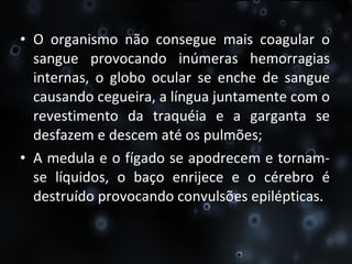O organismo não consegue mais coagular o sangue provocando inúmeras hemorragias internas, o globo ocular se enche de sangue causando cegueira, a língua juntamente com o revestimento da traquéia e a garganta se desfazem e descem até os pulmões; A medula e o fígado se apodrecem e tornam-se líquidos, o baço enrijece e o cérebro é destruído provocando convulsões epilépticas. 