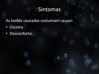 Sintomas As lesões causadas costumam causar: Coceira Desconforto. 