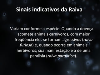 Sinais indicativos da Raiva   Variam conforme a espécie. Quando a doença acomete animais carnívoros, com maior freqüência eles se tornam agressivos ( raiva furiosa ) e, quando ocorre em animais herbívoros, sua manifestação é a de uma paralisia ( raiva paralítica ). 