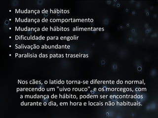 Mudança de hábitos Mudança de comportamento Mudança de hábitos  alimentares Dificuldade para engolir Salivação abundante Paralisia das patas traseiras Nos cães, o latido torna-se diferente do normal, parecendo um "uivo rouco", e os morcegos, com a mudança de hábito, podem ser encontrados durante o dia, em hora e locais não habituais. 