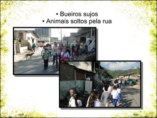 ● Bueiros sujos
● Animais soltos pela rua
 