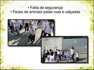 ● Falta de segurança
● Fezes de animais pelas ruas e calçadas
 