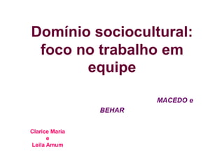 Domínio sociocultural:
foco no trabalho em
equipe
MACEDO e
BEHAR
Clarice Maria
e
Leila Amum
 