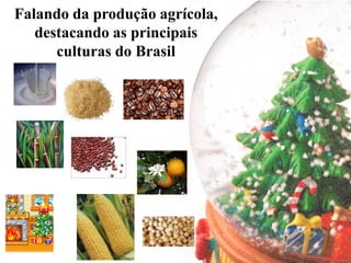 Falando da produção agrícola,
   destacando as principais
      culturas do Brasil
 