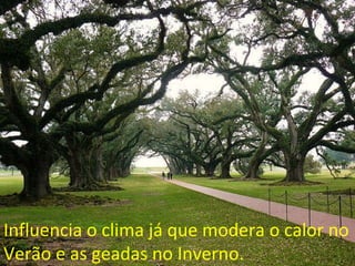Influencia o clima já que modera o calor no Verão e as geadas no Inverno. 