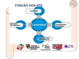 FUNÇÃO DOS NTE 