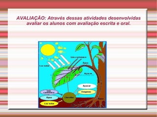 AVALIAÇÃO: Através dessas atividades desenvolvidas
avaliar os alunos com avaliação escrita e oral.

 