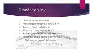 Funções da linfa
1. Devolver líquido excedente
2. Transporta para o sangue as PROTEÍNAS
3. Drenar resíduos metabólicos
4. Atuar como agente imunológico
5. Manter o equilíbrio no espaço intersticial
6. Auxiliar na recuperação dos ferimentos:
1. Fibrinogênio: ¨casca¨ das feridas
 