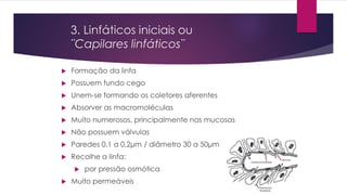 3. Linfáticos iniciais ou
¨Capilares linfáticos¨
 Formação da linfa
 Possuem fundo cego
 Unem-se formando os coletores aferentes
 Absorver as macromoléculas
 Muito numerosos, principalmente nas mucosas
 Não possuem válvulas
 Paredes 0,1 a 0,2μm / diâmetro 30 a 50μm
 Recolhe a linfa:
 por pressão osmótica
 Muito permeáveis
 