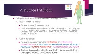 7. Ductos linfáticos
 Dois principais e maiores coletores do corpo humano:
A. Ducto linfático direito:
 Formado na raiz do pescoço
 T. linf. Broncomediastinal D + T. linf. Sunclávio + T. linf. Jugular
direito = DRENAGEM MSD + HEMITÓRAX DITEITO + PARTE D.
CABEÇA E FACE
B. Ducto torácico:
 Formado pela junção dos T. intestinal + T. intercostais
descendentes + T. lombares = DRENAGEM MMII E VÍCERAS
PÉLVICAS + CANAL ALIMENTAR + PARTE INFERIOR DO TÓRAX
 Após a cisterna do quilo ele se estreita passa pelo hiato no
diafragma subindo ao lado da aorta
A
B
 