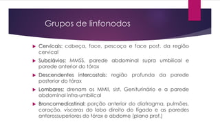Grupos de linfonodos
 Cervicais: cabeça, face, pescoço e face post. da região
cervical
 Subclávios: MMSS, parede abdominal supra umbilical e
parede anterior do tórax
 Descendentes intercostais: região profunda da parede
posterior do tórax
 Lombares: drenam os MMII, sist. Geniturinário e a parede
abdominal infra-umbilical
 Broncomediastinal: porção anterior do diafragma, pulmões,
coração, vísceras do lobo direito do fígado e as paredes
anterossuperiores do tórax e abdome (plano prof.)
 
