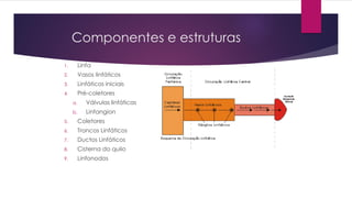 Componentes e estruturas
1. Linfa
2. Vasos linfáticos
3. Linfáticos iniciais
4. Pré-coletores
a. Válvulas linfáticas
b. Linfangion
5. Coletores
6. Troncos Linfáticos
7. Ductos Linfáticos
8. Cisterna do quilo
9. Linfonodos
 
