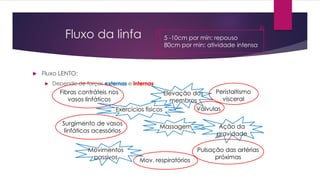 Fluxo da linfa
 Fluxo LENTO:
 Depende de forças externas e internas
Fibras contráteis nos
vasos linfáticos
Surgimento de vasos
linfáticos acessórios
Válvulas
Ação da
gravidade
Pulsação das artérias
próximas
Peristaltismo
visceral
Mov. respiratórios
Movimentos
passivos
Massagem
Elevação dos
membros
Exercícios físicos
5 -10cm por min: repouso
80cm por min: atividade intensa
 