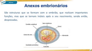 Anexos embrionários
São estruturas que se formam com o embrião, que realizam importantes
funções, mas que se tornam inúteis após o seu nascimento, sendo então,
desprezadas.
14
 
