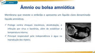 Âmnio ou bolsa amniótica
Membrana que reveste o embrião e apresenta um líquido claro denominado
líquido amniótico.
 Protege contra choques mecânicos, desidratação, e
infecção por vírus e bactérias, além de estabilizar a
temperatura interna;
 Principal responsável pela independência à água na
reprodução dos répteis;
16
 