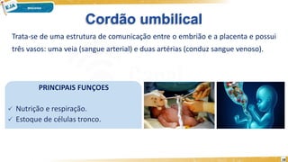 Cordão umbilical
Trata-se de uma estrutura de comunicação entre o embrião e a placenta e possui
três vasos: uma veia (sangue arterial) e duas artérias (conduz sangue venoso).
PRINCIPAIS FUNÇOES
 Nutrição e respiração.
 Estoque de células tronco.
18
 