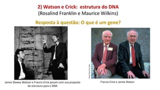 Linhas de Pesquisa do Departamento
2) Watson e Crick: estrutura do DNA
(Rosalind Franklin e Maurice Wilkins)
Resposta à questão: O que é um gene?
James Dewey Watson e Francis Crick posam com sua proposta
de estrutura para o DNA
Francis Crick e James Watson
 