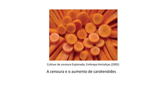 Importância da Genética para a Agricultura
A cenoura e o aumento de carotenóides
Cultivar de cenoura Esplanada, Embrapa Hortaliças (2005)
 