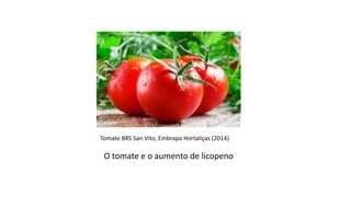 Importância da Genética para a Agricultura
O tomate e o aumento de licopeno
Tomate BRS San Vito, Embrapa Hortaliças (2014)
 