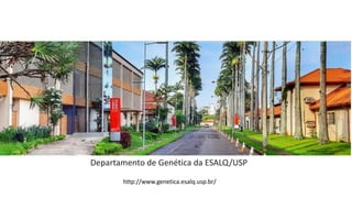 Departamento de Genética da ESALQ/USP
http://www.genetica.esalq.usp.br/
 