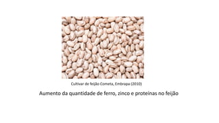 Cultivar de feijão Cometa, Embrapa (2010)
Aumento da quantidade de ferro, zinco e proteínas no feijão
 