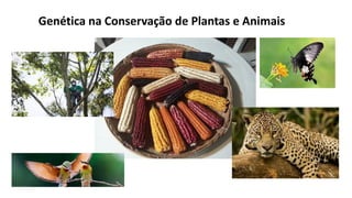 Genética na Conservação de Plantas e Animais
 