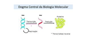 Dogma Central da Biologia Molecular
 