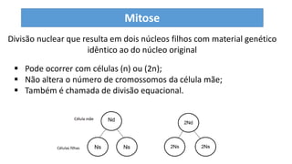 Divisão nuclear que resulta em dois núcleos filhos com material genético
idêntico ao do núcleo original
 Pode ocorrer com células (n) ou (2n);
 Não altera o número de cromossomos da célula mãe;
 Também é chamada de divisão equacional.
Mitose
 