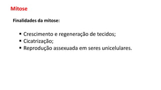 Mitose
Finalidades da mitose:
 Crescimento e regeneração de tecidos;
 Cicatrização;
 Reprodução assexuada em seres unicelulares.
 