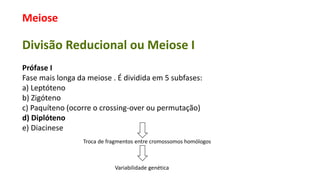 Meiose
Divisão Reducional ou Meiose I
Prófase I
Fase mais longa da meiose . É dividida em 5 subfases:
a) Leptóteno
b) Zigóteno
c) Paquíteno (ocorre o crossing-over ou permutação)
d) Diplóteno
e) Diacinese
Troca de fragmentos entre cromossomos homólogos
Variabilidade genética
 