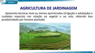 AGRICULTURA DE JARDINAGEM
Apresenta técnicas mais ou menos aprimoradas (irrigação e adubação) e
cuidados especiais em relação ao vegetal e ao solo, obtendo boa
produtividade por hectare plantado.
11
 