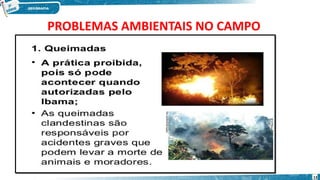 PROBLEMAS AMBIENTAIS NO CAMPO
13
 