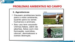 PROBLEMAS AMBIENTAIS NO CAMPO
17
 
