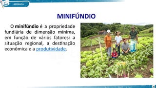 MINIFÚNDIO
O minifúndio é a propriedade
fundiária de dimensão mínima,
em função de vários fatores: a
situação regional, a destinação
econômica e a produtividade.
25
 