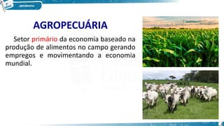 AGROPECUÁRIA
Setor primário da economia baseado na
produção de alimentos no campo gerando
empregos e movimentando a economia
mundial.
3
 