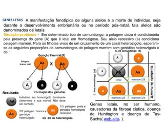 os-principios-das-leis-da-genetica-ou-mendelianas | PDF