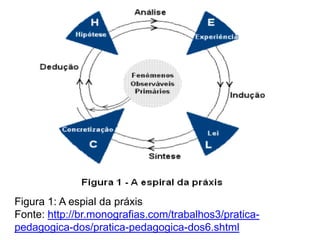 Adota práticas metodológicas e procedimentos técnicos, capazes de certificar os resultados obtidos através da manifestação da natureza;