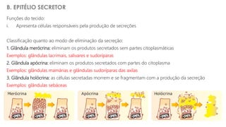 Apresentação do PowerPoint - TAFAREL - HISTOLOGIA.pdf