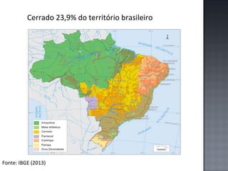 Cerrado 23,9% do território brasileiro

Fonte: IBGE (2013)

 