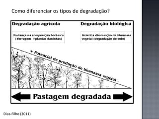 Como diferenciar os tipos de degradação?

Dias-Filho (2011)

 